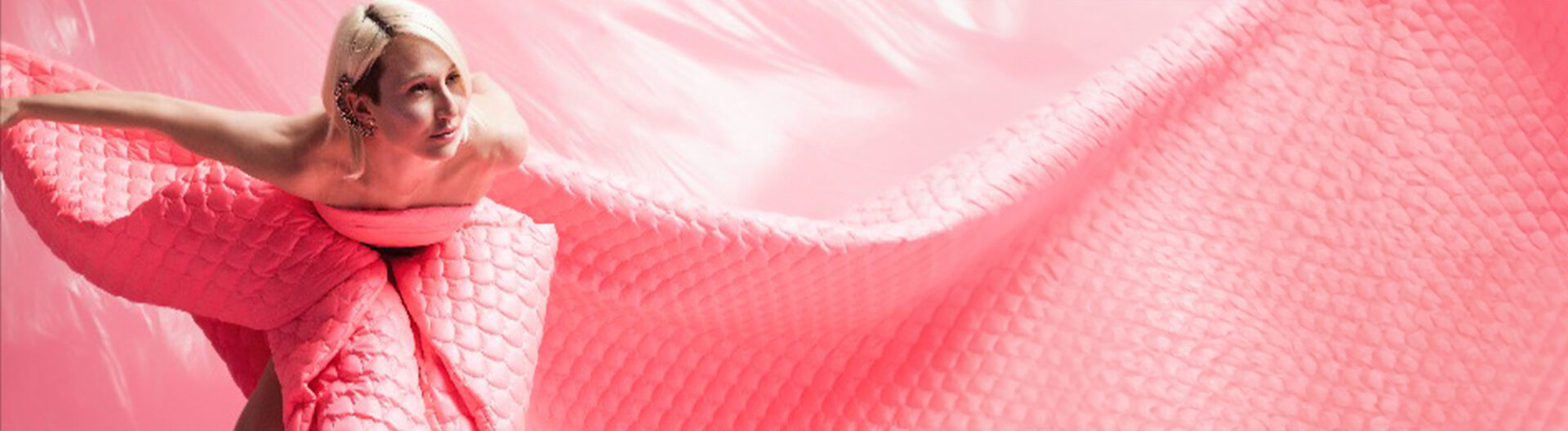 Francesca Lollobrigida