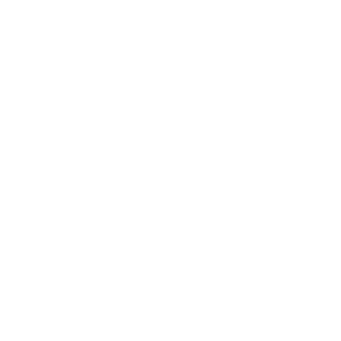 LOGO EXPLUS B